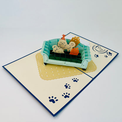 Paw-ty On Blue Coach WOWPOP CARD