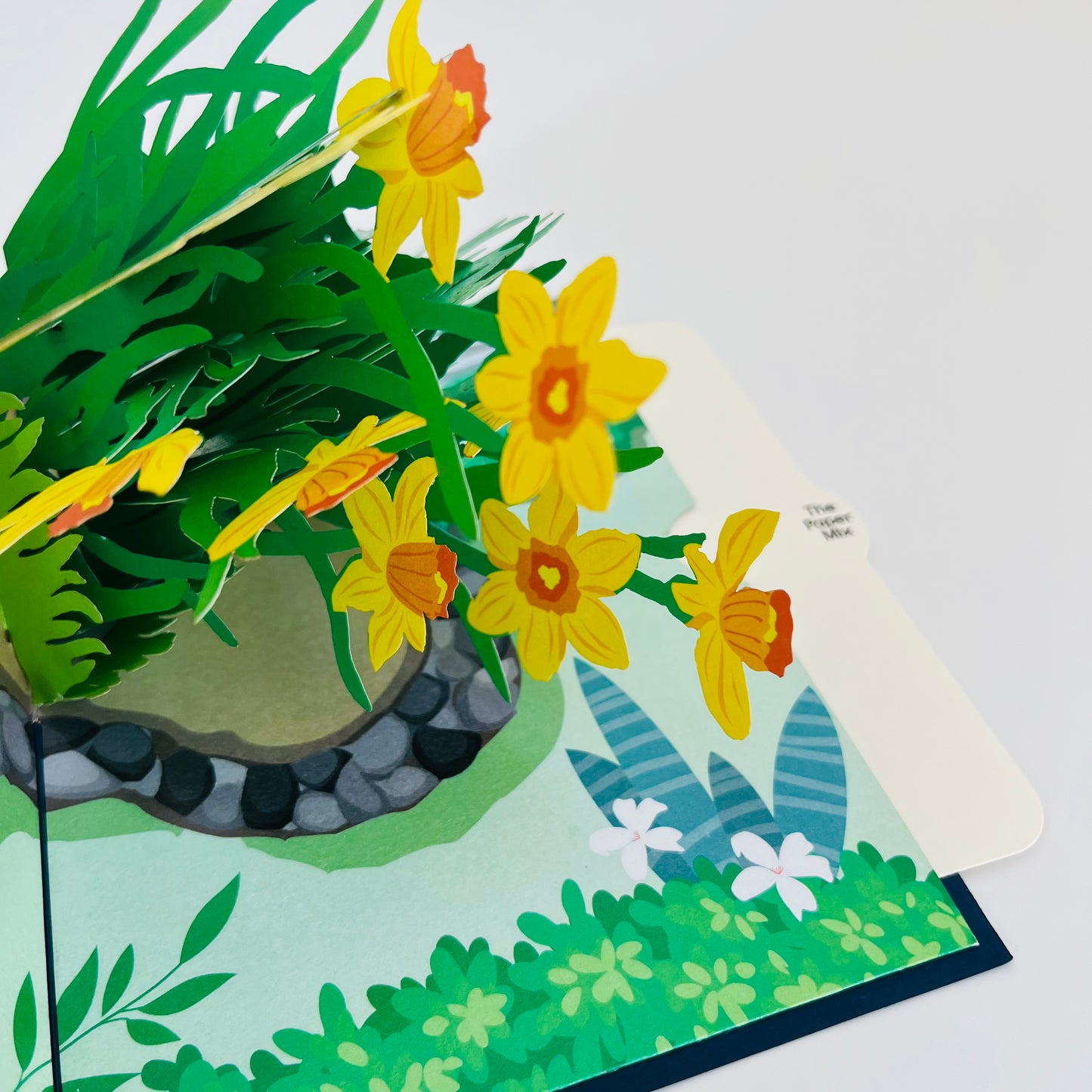 Daffodil Delight WOWPOP CARD