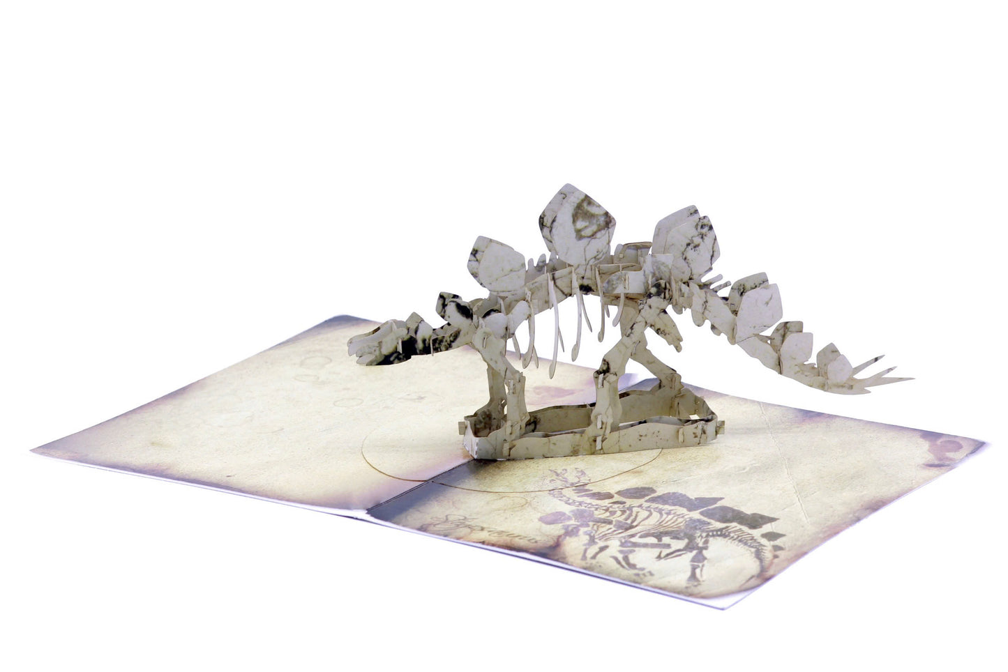Dinosaur Skeleton  3D Pop Up Greeting Card