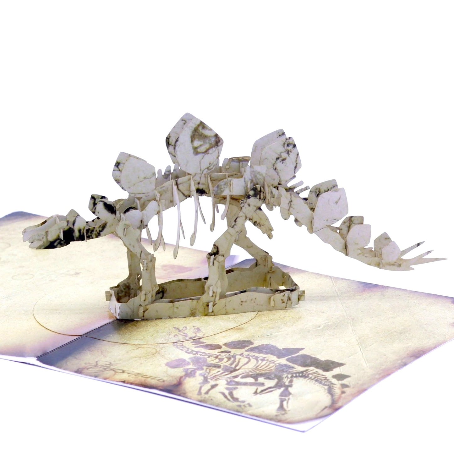 Card with a dinosaur skeleton design on a white background
